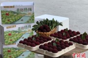 八字测试高速赋能产业升级：一条“杨梅路”的致富密码